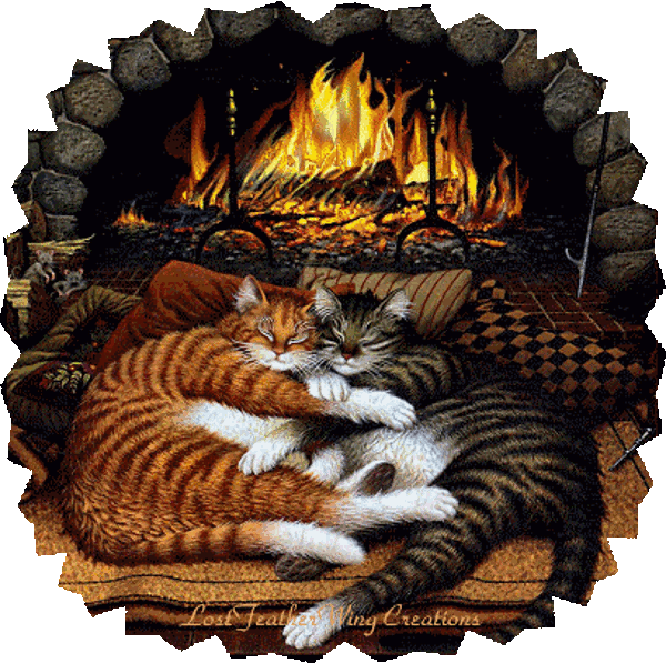 RÃ©sultat de recherche d'images pour "Feu de cheminÃ©e animÃ©e avec deux chats"