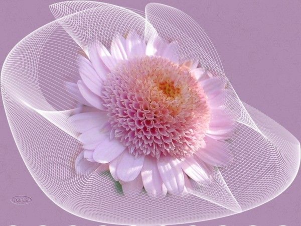 Chapeau Chic En Paille Rose - Taille Unique - Style Années 80 Vintage - Neuf Avec étiquettes