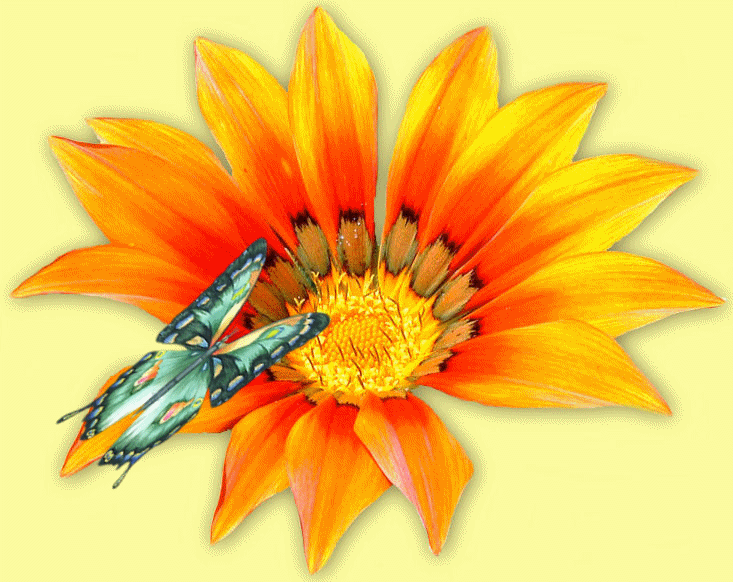 2 Feuilles de Tournesol Papillon Sticker Mural Sticker Fleur Jaune