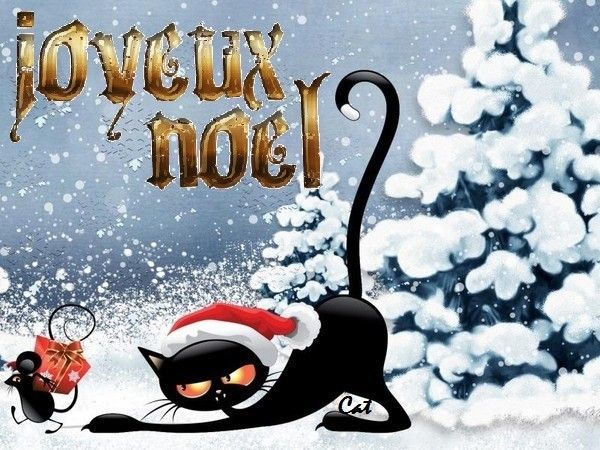 joyeux noel chat